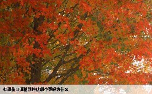 处理伤口酒精跟碘伏哪个更好为什么