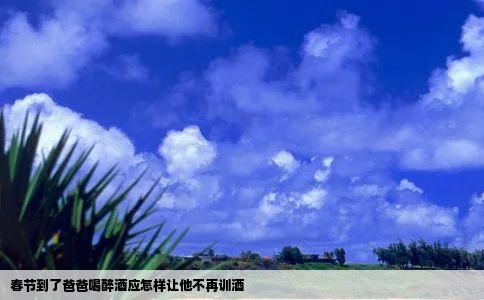 春节到了爸爸喝醉酒应怎样让他不再训酒