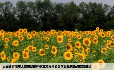 出去旅游酒店太贵想找那种便宜又方便的民宿类住宿地点在哪里找