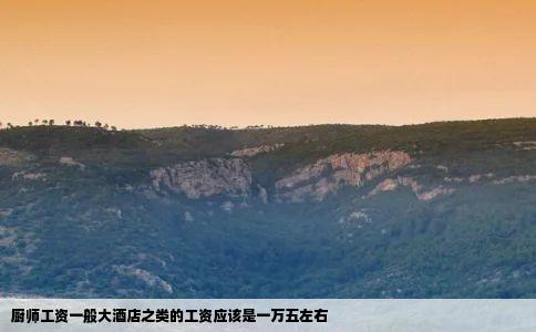 厨师工资一般大酒店之类的工资应该是一万五左右