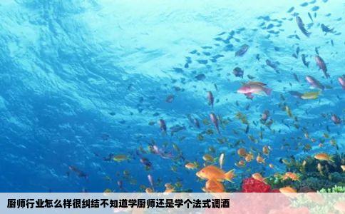 厨师行业怎么样很纠结不知道学厨师还是学个法式调酒