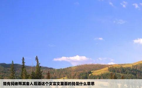 楚有祠者赐其舍人卮酒这个文言文里面的持是什么意思