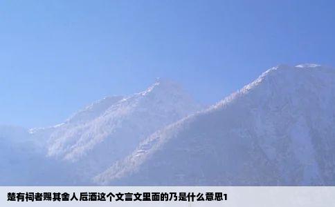 楚有祠者赐其舍人卮酒这个文言文里面的乃是什么意思1