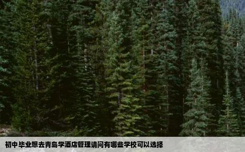 初中毕业想去青岛学酒店管理请问有哪些学校可以选择