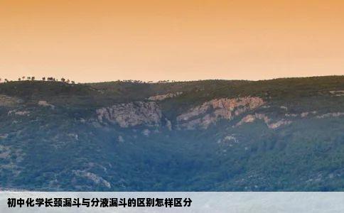 初中化学长颈漏斗与分液漏斗的区别怎样区分