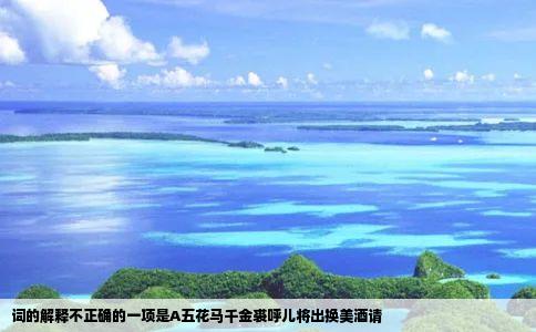 词的解释不正确的一项是A五花马千金裘呼儿将出换美酒请