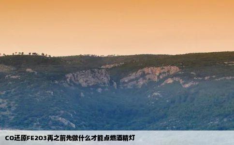 CO还原FE2O3再之前先做什么才能点燃酒精灯