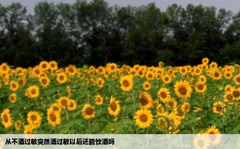 从不酒过敏突然酒过敏以后还能饮酒吗