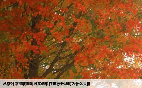 从茶叶中提取咖啡因实验中在进行升华时为什么只能