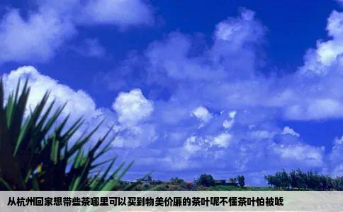 从杭州回家想带些茶哪里可以买到物美价廉的茶叶呢不懂茶叶怕被唬