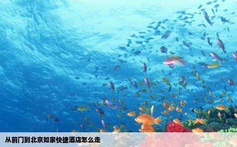 从前门到北京如家快捷酒店怎么走