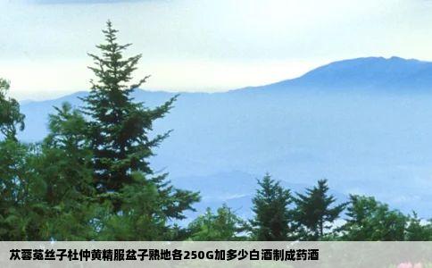 苁蓉菟丝子杜仲黄精服盆子熟地各250G加多少白酒制成药酒