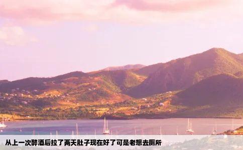 从上一次醉酒后拉了两天肚子现在好了可是老想去厕所