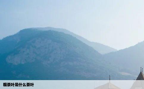 粗茶叶是什么茶叶