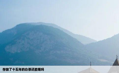 存放了十五年的白茶还能喝吗