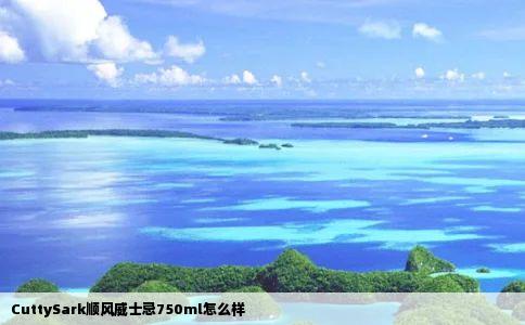 CuttySark顺风威士忌750ml怎么样