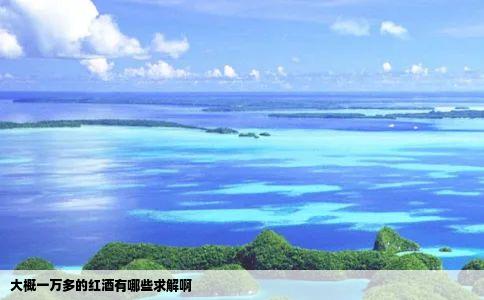 大概一万多的红酒有哪些求解啊