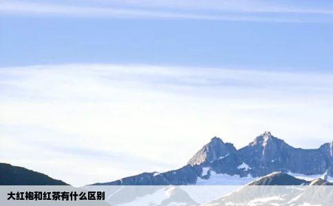 大红袍和红茶有什么区别