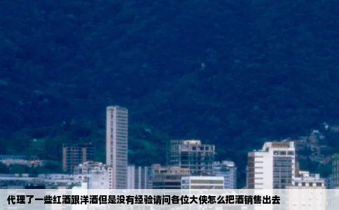 代理了一些红酒跟洋酒但是没有经验请问各位大侠怎么把酒销售出去