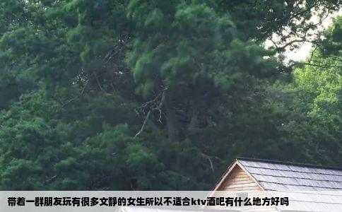 带着一群朋友玩有很多文静的女生所以不适合ktv酒吧有什么地方好吗