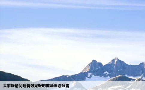 大家好请问哪有效果好的戒酒医院急需