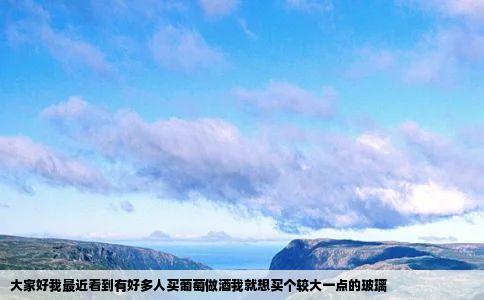 大家好我最近看到有好多人买葡萄做酒我就想买个较大一点的玻璃