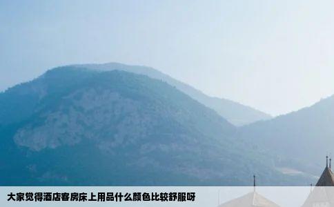 大家觉得酒店客房床上用品什么颜色比较舒服呀
