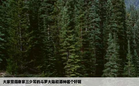 大家觉得唐家三少写的斗罗大陆和酒神哪个好啊