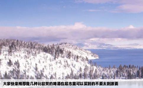 大家快来推荐我几种比较赞的啤酒在超市里可以买到的不要太刺激要