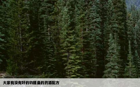 大家有没有好的钓鲤鱼的药酒配方