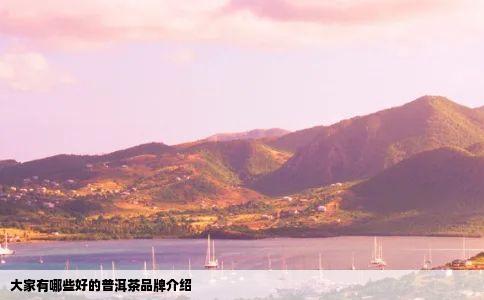 大家有哪些好的普洱茶品牌介绍