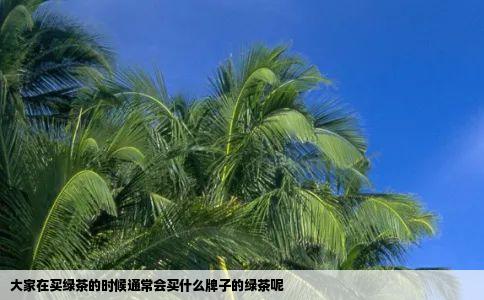 大家在买绿茶的时候通常会买什么牌子的绿茶呢