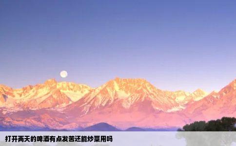 打开两天的啤酒有点发苦还能炒菜用吗