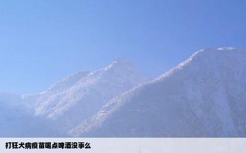 打狂犬病疫苗喝点啤酒没事么