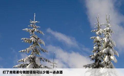 打了青霉素今晚陪领导可以少喝一点点酒