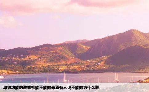 单独功能的酸奶机能不能做米酒有人说不能做为什么呢