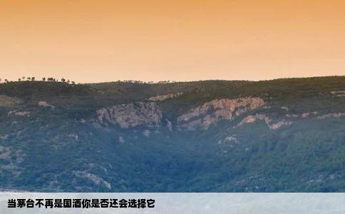 当茅台不再是国酒你是否还会选择它