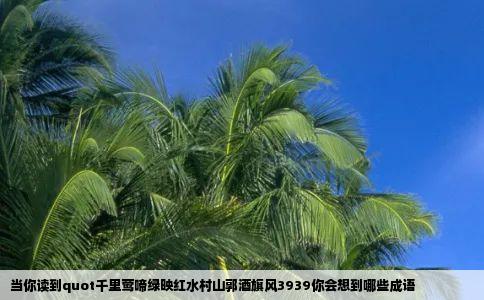 当你读到quot千里莺啼绿映红水村山郭酒旗风3939你会想到哪些成语
