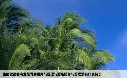 当时就读的专业是导游服务与管理与酒店服务与管理没有什么特长