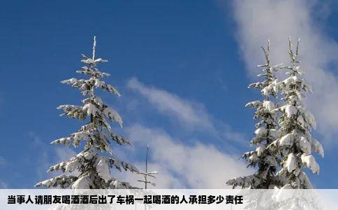 当事人请朋友喝酒酒后出了车祸一起喝酒的人承担多少责任