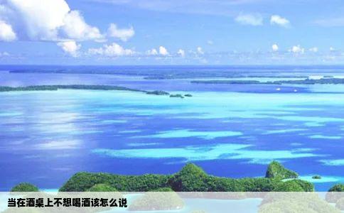 当在酒桌上不想喝酒该怎么说