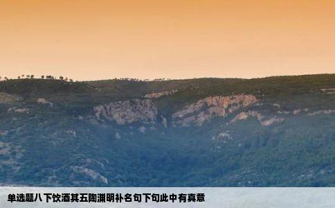 单选题八下饮酒其五陶渊明补名句下句此中有真意