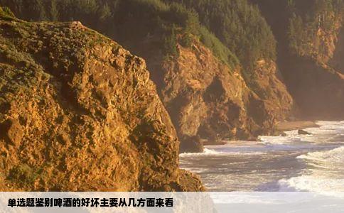 单选题鉴别啤酒的好坏主要从几方面来看