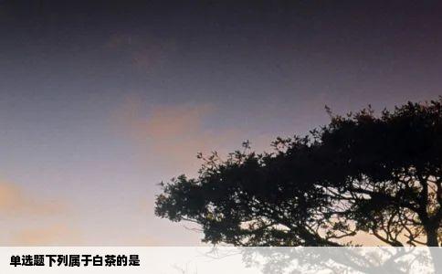 单选题下列属于白茶的是