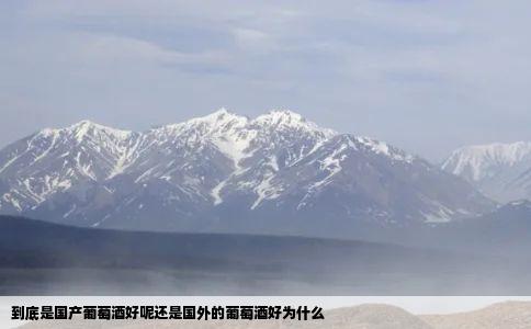 到底是国产葡萄酒好呢还是国外的葡萄酒好为什么