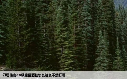 刀塔传奇60级熊猫酒仙怎么这么不禁打啊