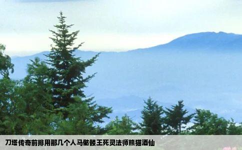 刀塔传奇前排用那几个人马骷髅王死灵法师熊猫酒仙