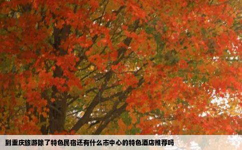 到重庆旅游除了特色民宿还有什么市中心的特色酒店推荐吗