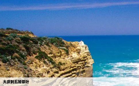 大庆刺五加茶叶