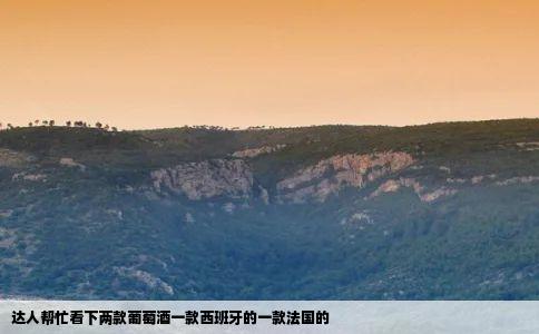达人帮忙看下两款葡萄酒一款西班牙的一款法国的